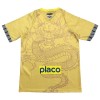 Officiële Voetbalshirt Santos FC Dragon 2025-26 Gele - Heren