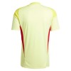 Officiële Voetbalshirt Doelman Aston Villa 2025-26 Gele - Heren