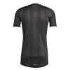 Officiële Voetbalshirt Doelman Aston Villa 2025-26 Zwarte - Heren