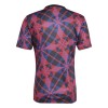 Officiële Voetbalshirt Olympique Lyonnais Pre-Match 2025-26 - Heren