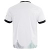 Officiële Voetbalshirt Prussia Munster Uit 2025-26 - Heren