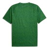 Officiële Voetbalshirt Manchester City Pre-Match 2025-26 Groene - Heren