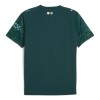 Officiële Voetbalshirt Manchester City Vierde EA Sport 2025-26 - Heren