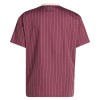 Officiële Voetbalshirt Ajax Terrace Icons 2025-26 - Heren