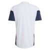 Argentinië Trainingsshirt WK 2026 Witte - Heren