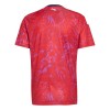 Officiële Voetbalshirt Costa Rica Thuis WK 2026 - Heren