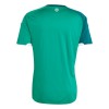 Officiële Voetbalshirt Noord-Ierland Thuis WK 2026 - Heren