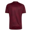 Officiële Voetbalshirt Venezuela Thuis WK 2026 - Heren