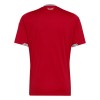 Officiële Voetbalshirt Wales Thuis WK 2026 - Heren