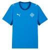 Officiële Voetbalshirt IJsland Thuis WK 2026 - Heren
