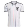 Officiële Voetbalshirt Japan Uit WK 2026 - Heren