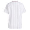 Officiële Voetbalshirt Aston Villa Terrace Icons 2025-26 - Heren