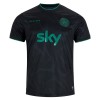 Officiële Voetbalshirt Ierland 2025-26 - Heren