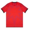 Officiële Voetbalshirt Venezia Vierde 2025-26 - Heren