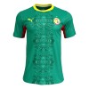 Officiële Voetbalshirt Senegal Uit WK 2026 - Heren