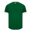 Officiële Voetbalshirt Ierland Thuis 2026-27 - Heren