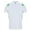 Officiële Voetbalshirt Ierland Uit 2026-27 - Heren