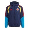 Colombia Trainingsjack Capuchon 2026-27 Grijze - Heren