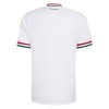 Officiële Voetbalshirt Hongarije Uit WK 2026 - Heren