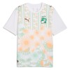 Officiële Voetbalshirt Ivoorkust Uit WK 2026 - Heren