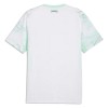Officiële Voetbalshirt Oostenrijk Uit WK 2026 - Heren