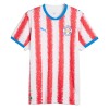 Officiële Voetbalshirt Paraguay Thuis WK 2026 - Heren