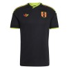 Officiële Voetbalshirt Peru Uit WK 2026 - Heren Officiële Voetbalshirt Peru Uit WK 2026 - Heren