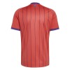 Officiële Voetbalshirt Schotland Uit WK 2026 - Heren