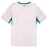 Officiële Voetbalshirt Senegal Thuis WK 2026 - Heren