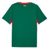 Officiële Voetbalshirt Senegal Uit WK 2026 - Heren