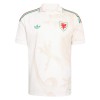 Officiële Voetbalshirt Wales Uit WK 2026 - Heren