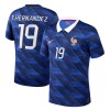 Officiële Voetbalshirt Frankrijk Theo Hernandez 19 Thuis WK 2026 - Heren