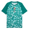 Officiële Voetbalshirt Portugal Pre-Match WK 2026 Groene - Heren