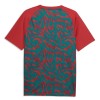 Officiële Voetbalshirt Portugal Pre-Match WK 2026 Rode - Heren
