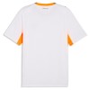 Officiële Voetbalshirt IJsland Uit 2026 - Heren