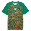 Officiële Voetbalshirt Ivoorkust Pre-Match WK 2026 - Heren