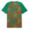 Officiële Voetbalshirt Ivoorkust Pre-Match WK 2026 - Heren