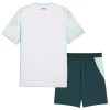 Officiële Voetbalshirt + Korte Broek Oostenrijk Uit WK 2026 - Kids