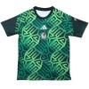 Officiële Voetbalshirt Mexico Pre-Match WK 2026 - Heren