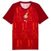 Officiële Voetbalshirt Ghana Pre-Match WK 2026 - Heren Officiële Voetbalshirt Ghana Pre-Match WK 2026 - Heren