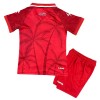 Officiële Voetbalshirt + Korte Broek Haiti Derde WK 2026 - Kids