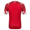 Officiële Voetbalshirt Tunesië Uit WK 2026 - Heren