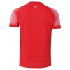 Officiële Voetbalshirt Uit Jordan WK 2026 - Heren