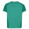 Officiële Voetbalshirt Doelman Juventus Uit 2026-27 - Heren