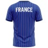 Officiële Voetbalshirt Frankrijk Pre-Match 2026 - Heren