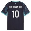 Officiële Voetbalshirt Olympique de Marseille Greenwood 10 Uit 2026-27 - Heren Officiële Voetbalshirt Olympique de Marseille Greenwood 10 Uit 2026-27 - Heren