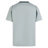 Officiële Voetbalshirt VfL Wolfsburg Uit 2026-27 - Heren