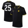 Officiële Voetbalshirt Chelsea Caicedo 25 Uit 2026-27 - Heren Officiële Voetbalshirt Chelsea Caicedo 25 Uit 2026-27 - Heren