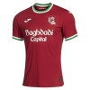 Officiële Voetbalshirt Real Sociedad Derde 2026-27 - Heren Officiële Voetbalshirt Real Sociedad Derde 2026-27 - Heren