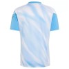 Officiële Voetbalshirt Argentinië Farewell Pre-Match Jubileum 2026-27 - Heren
